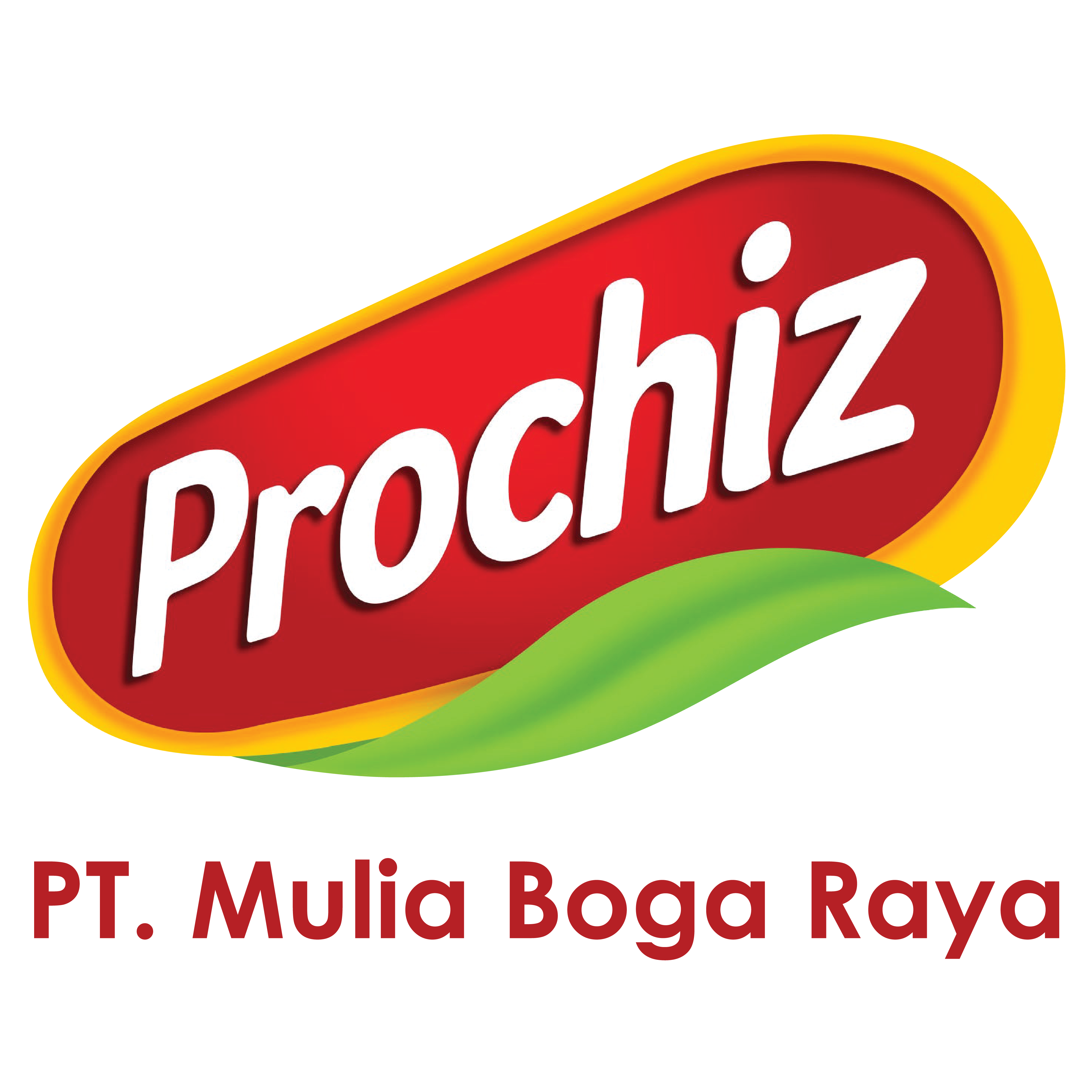 PROCHIZ_Logo