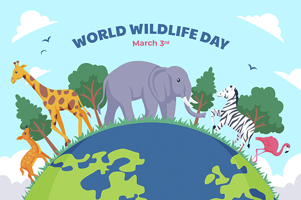 Read more about the article Dukung Konservasi Satwa Liar! Ini Dia Merchandise Ramah Lingkungan yang Bisa Jadi Pilihan