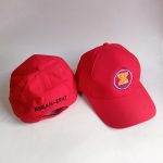 Topi